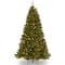 9ft. Pre-Lit PowerConnect™ North Valley® Spruce Artificial Christmas Tree with Dual Color LED Lights